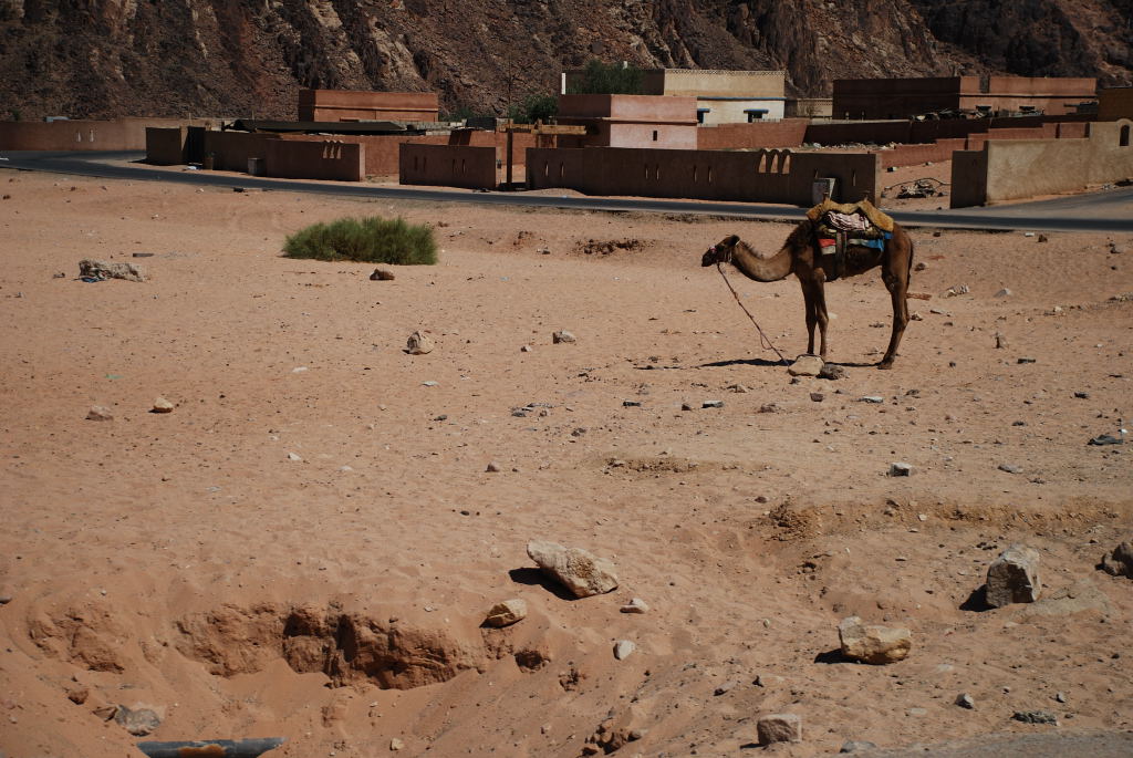 Wadi Rum